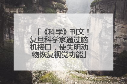 《科学》刊文！复旦科学家通过脑机接口，使失明动物恢复视觉功能