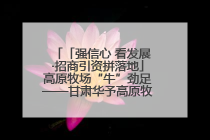 「强信心 看发展·招商引资拼落地」高原牧场“牛”劲足——甘肃华予高原牧场高标准奶牛肉牛养殖项目一线见闻