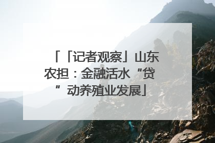 「记者观察」山东农担：金融活水“贷”动养殖业发展