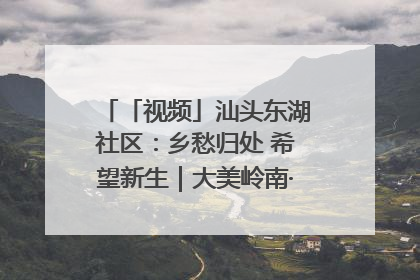 「视频」汕头东湖社区：乡愁归处 希望新生｜大美岭南·百村焕新记