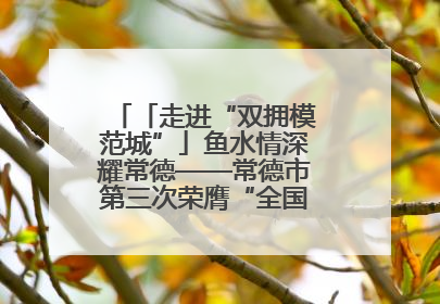 「走进“双拥模范城”」鱼水情深耀常德——常德市第三次荣膺“全国双拥模范城”