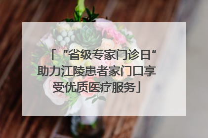 “省级专家门诊日”助力江陵患者家门口享受优质医疗服务