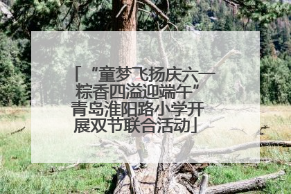 “童梦飞扬庆六一 粽香四溢迎端午” 青岛淮阳路小学开展双节联合活动