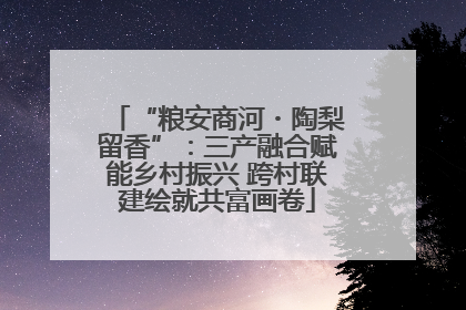 “粮安商河・陶梨留香”：三产融合赋能乡村振兴 跨村联建绘就共富画卷