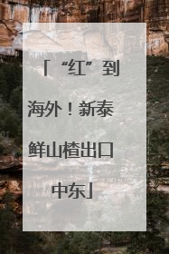 “红”到海外！新泰鲜山楂出口中东