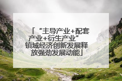 “主导产业+配套产业+衍生产业” 镇域经济创新发展释放强劲发展动能