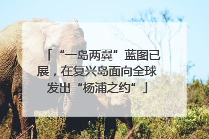 “一岛两翼”蓝图已展，在复兴岛面向全球发出“杨浦之约”