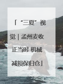 “三夏”视觉｜孟州麦收正当时 机械减损保归仓