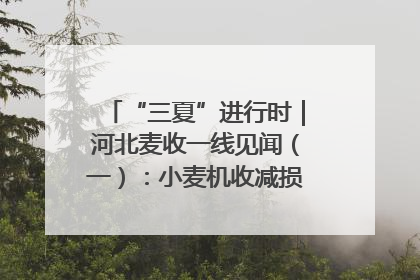 “三夏”进行时｜河北麦收一线见闻（一）：小麦机收减损“竞技” 农机高手麦田“过招”