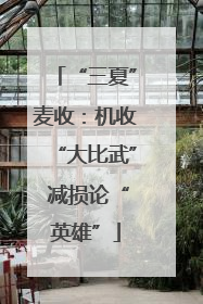 “三夏”麦收：机收“大比武” 减损论“英雄”
