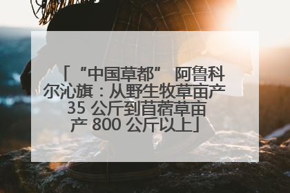 “中国草都” 阿鲁科尔沁旗：从野生牧草亩产 35 公斤到苜蓿草亩产 800 公斤以上