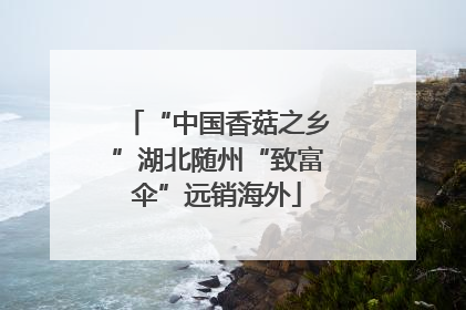 “中国香菇之乡”湖北随州“致富伞”远销海外