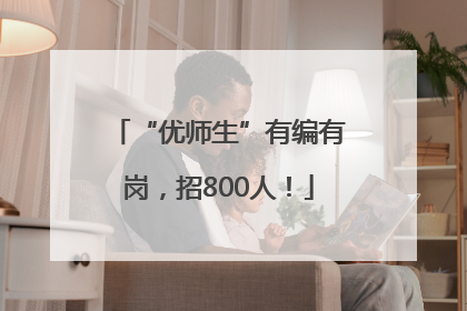 “优师生”有编有岗，招800人！
