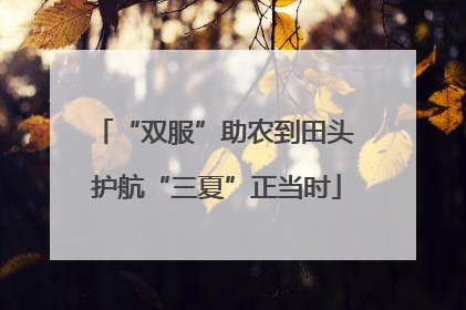 “双服”助农到田头 护航“三夏”正当时