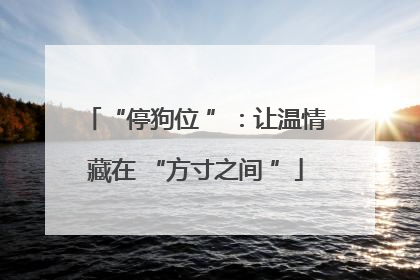“停狗位 ”：让温情藏在 “方寸之间 ”