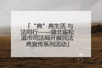 “典”亮生活 与法同行——湖北省松滋市司法局开展民法典宣传系列活动