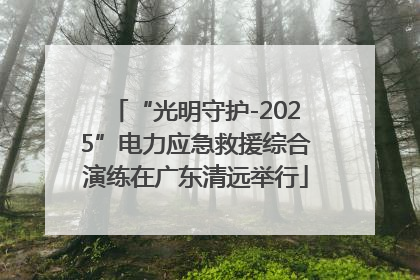 “光明守护-2025”电力应急救援综合演练在广东清远举行