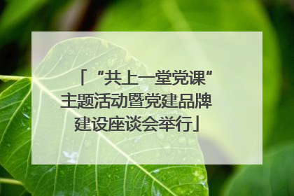 “共上一堂党课”主题活动暨党建品牌建设座谈会举行