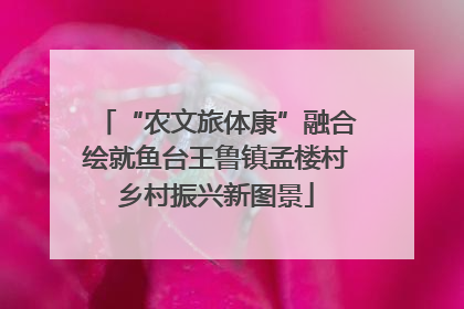 “农文旅体康”融合绘就鱼台王鲁镇孟楼村乡村振兴新图景