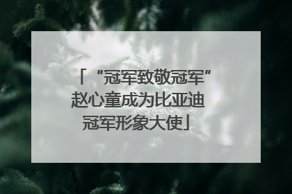 “冠军致敬冠军” 赵心童成为比亚迪冠军形象大使