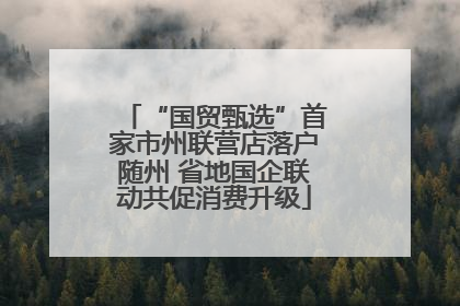 “国贸甄选”首家市州联营店落户随州 省地国企联动共促消费升级