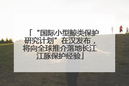 “国际小型鲸类保护研究计划”在汉发布，将向全球推介落地长江江豚保护经验