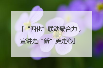 “四化”联动聚合力，宣讲走“新”更走心