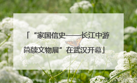 “家国信史——长江中游简牍文物展”在武汉开幕
