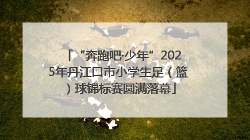 “奔跑吧·少年”2025年丹江口市小学生足（篮）球锦标赛圆满落幕