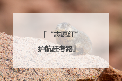 “志愿红”护航赶考路