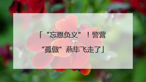 “忘恩负义”！警营“孤傲”燕隼飞走了