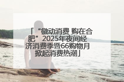 “徽动消费 购在合肥”2025年夜间经济消费季暨66购物月掀起消费热潮
