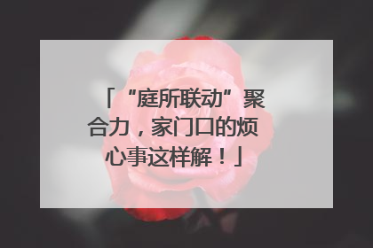 “庭所联动”聚合力，家门口的烦心事这样解！