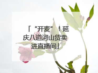 “开麦”！延庆八道河山货卖进直播间