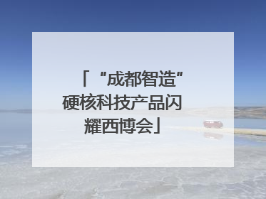 “成都智造”硬核科技产品闪耀西博会