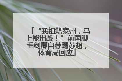 “我祖籍泰州，马上能出战！”前国脚毛剑卿自荐踢苏超，体育局回应