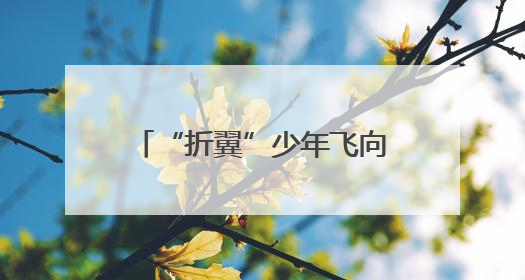 “折翼”少年飞向广阔天空的新起点