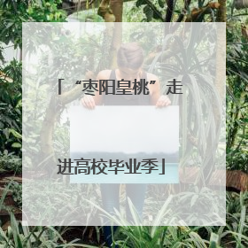 “枣阳皇桃”走进高校毕业季