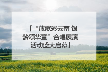 “放歌彩云南 银龄颂华章”合唱展演活动盛大启幕