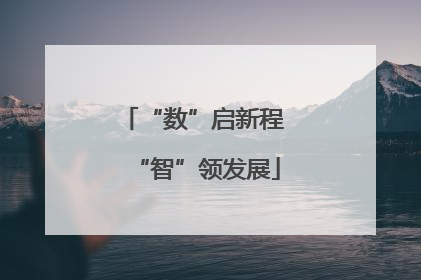 “数”启新程 “智”领发展