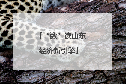 “数”读山东经济新引擎