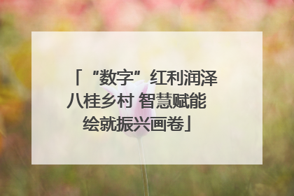 “数字”红利润泽八桂乡村 智慧赋能绘就振兴画卷