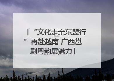 “文化走亲东盟行”再赴越南 广西邕剧粤韵展魅力