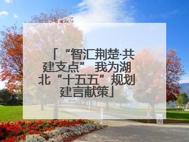 “智汇荆楚·共建支点” 我为湖北“十五五”规划建言献策