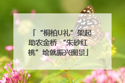 “桐柏U礼”架起助农金桥 “朱砂红桃”绘就振兴图景