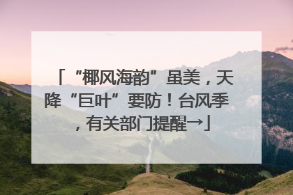 “椰风海韵”虽美，天降“巨叶”要防！台风季，有关部门提醒→