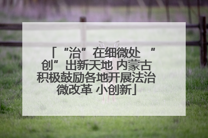 “治”在细微处 “创”出新天地 内蒙古积极鼓励各地开展法治微改革 小创新