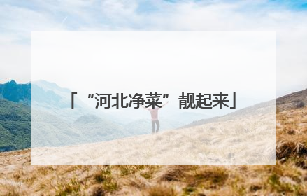 “河北净菜”靓起来