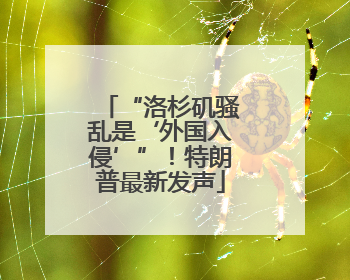 “洛杉矶骚乱是‘外国入侵’”！特朗普最新发声