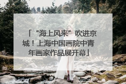 “海上风来”吹进京城！上海中国画院中青年画家作品展开幕